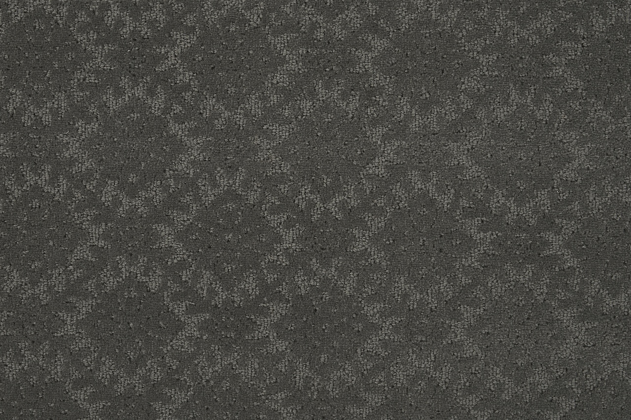 /Broadloom/Classic Refresh/HAGAMAN_CLASSIQUE_CLASQ_JARDIN_JADN_GRAPHITE_H0214_SAMPLE_C.jpg