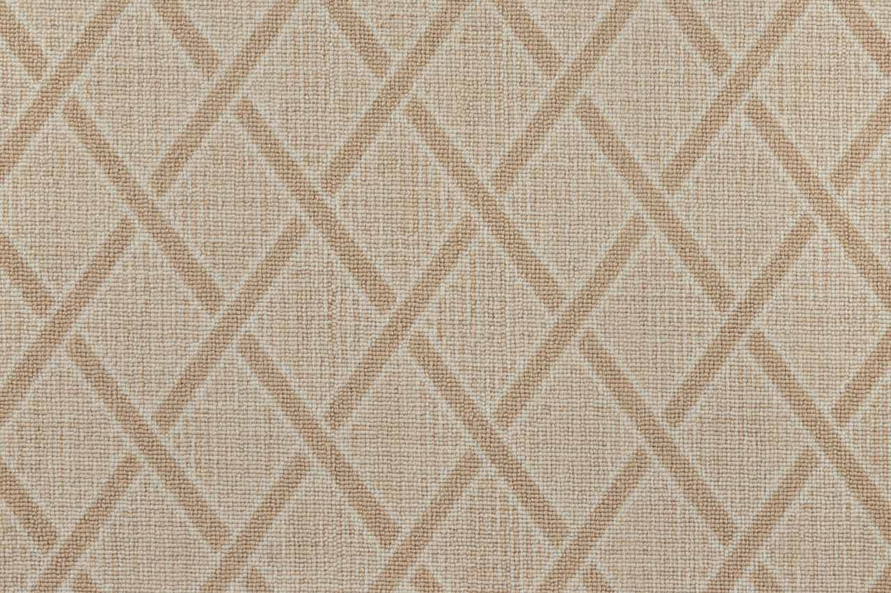 /Broadloom/Classic Refresh/HAGAMAN_STYLEPOINT_LATTICEWORKS_SANDOLLAR__SAMPLE.jpg