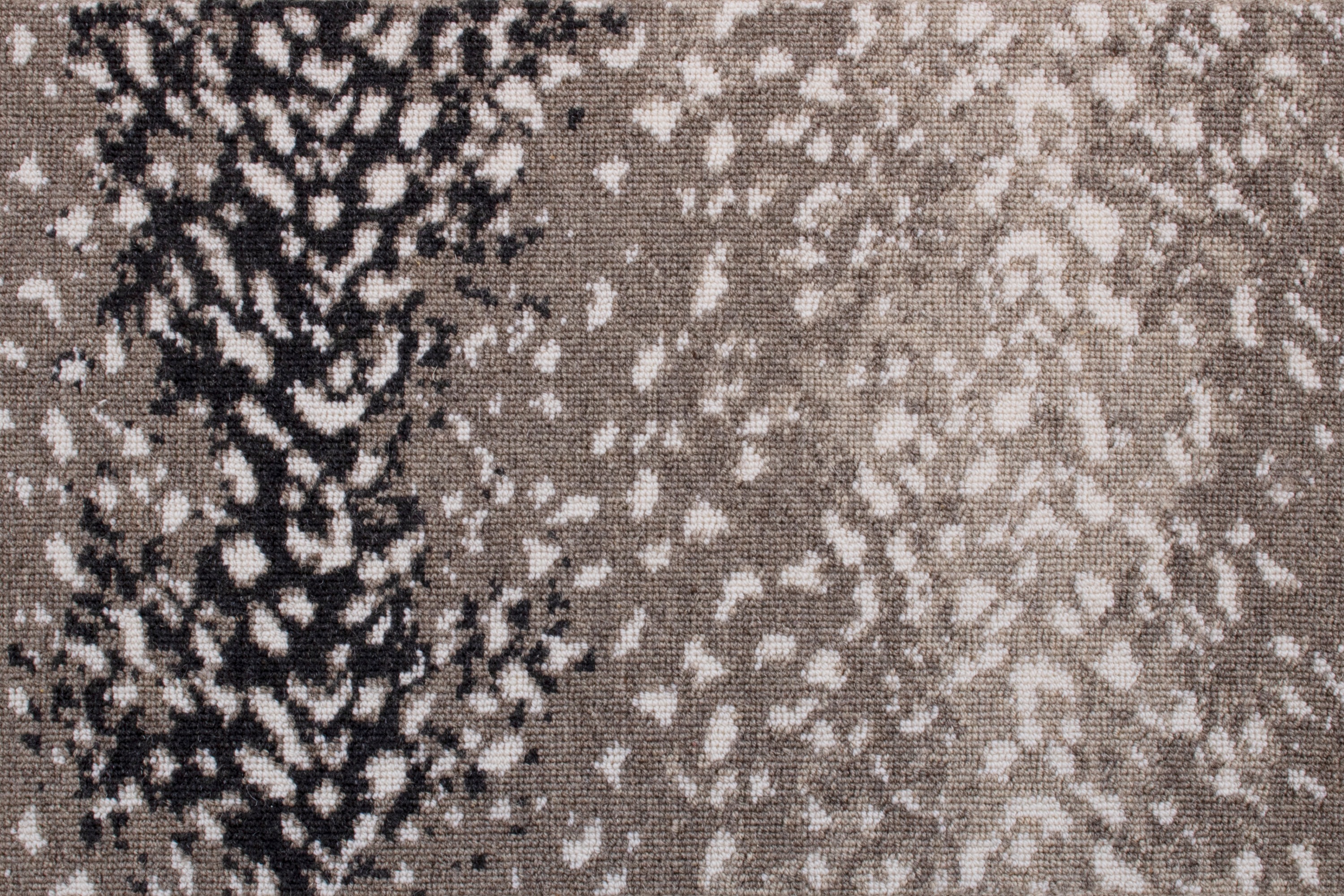 /Broadloom/Cutting Edge/Charcoal_Leopard_edited.jpg