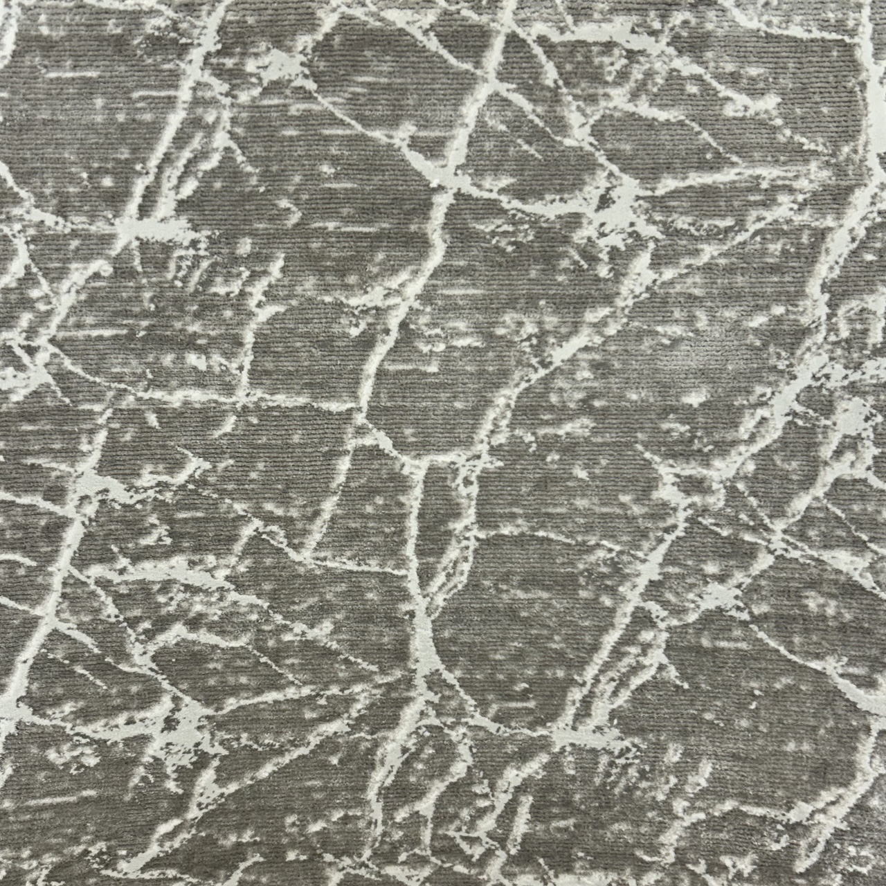 /Broadloom/Modern/Fanciful Dream Fleece photo.JPG