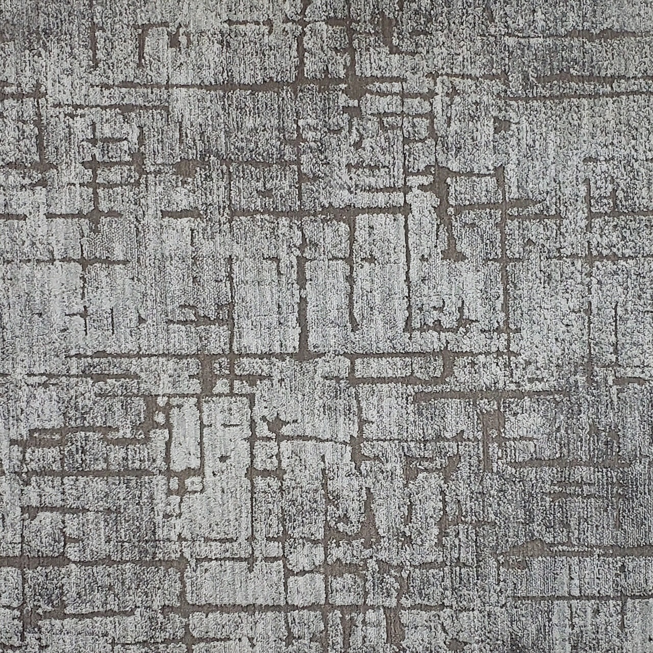 /Broadloom/Modern/Graceful - Misty photo.jpg