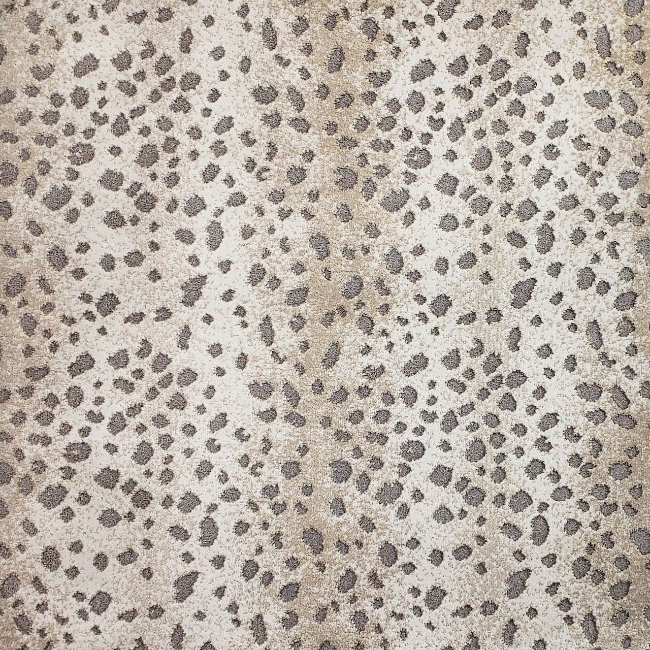 /Broadloom/Modern/Out in the Wild 063 Cheetah photo.jpg