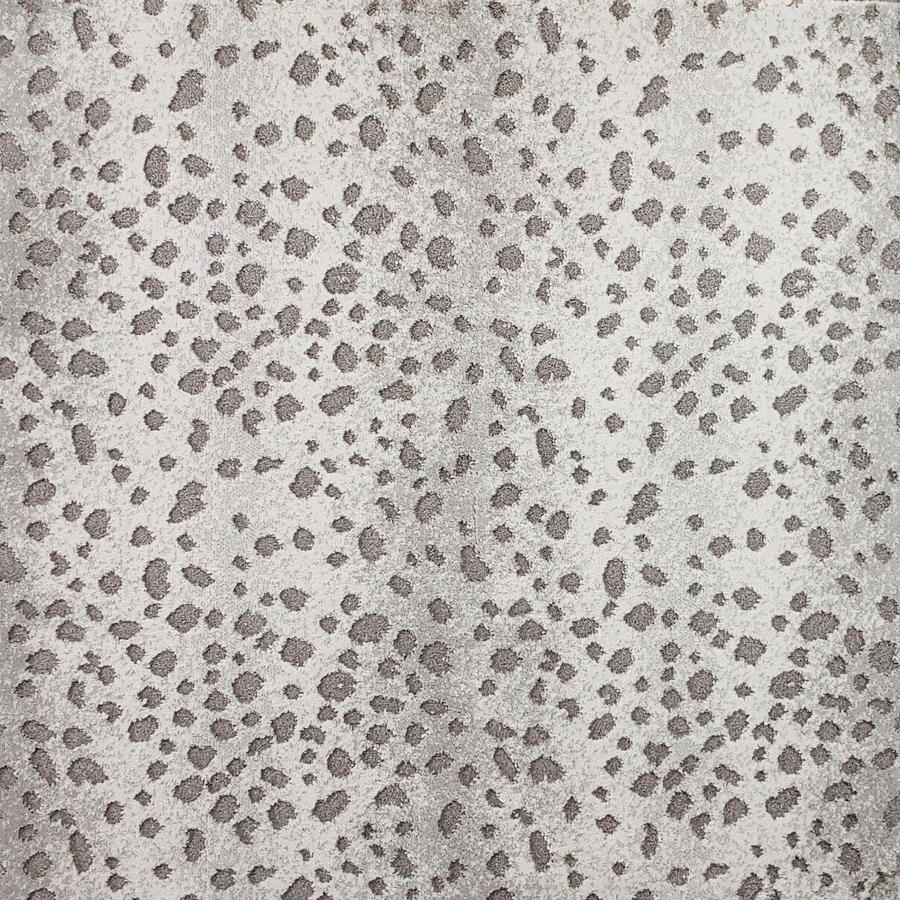 /Broadloom/Modern/Out in the Wild 064 Wild Cat photo.jpg