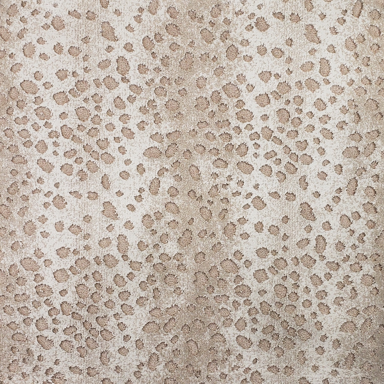 /Broadloom/Modern/Out in the Wild 762 Leopard photo.jpg