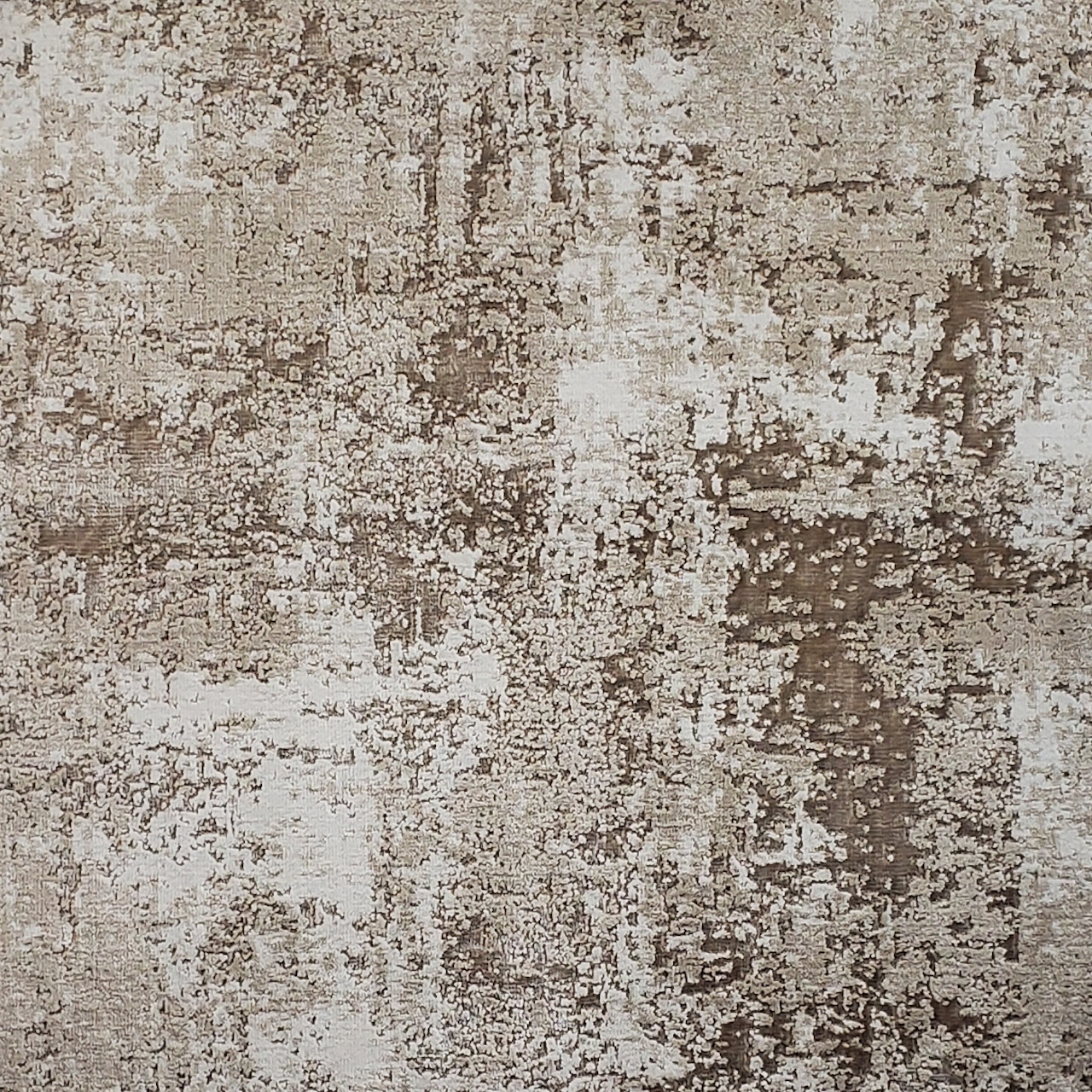 /Broadloom/Modern/Picturesque 670 Turtledove photo.jpg